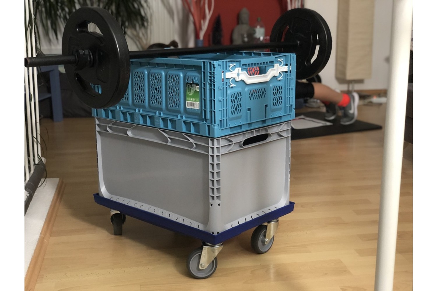 6242 Dolly (Rollwagen)